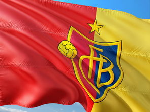 乐鱼体育网页登录-1亿转会费新援欧冠亮相,尤文多特背后故事曝光,尤文转会投入